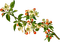 Spring Branch - безплатен png анимиран GIF
