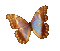 Schmetterling/Butterfly - Ücretsiz animasyonlu GIF animasyonlu GIF