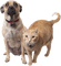 Kaz_Creations Animals Dog Pup Cat Kitten - gratis png geanimeerde GIF