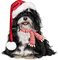 Kaz_Creations Christmas Dog Pup Dogs Colours - фрее пнг анимирани ГИФ