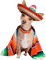 Chihuahua - gratis png animerad GIF