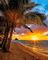 ocean.sunset.water.beach.sand.sun.bg.gif.horizon - GIF animado grátis Gif Animado