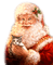 Y.A.M._New Year Santa Claus cat - png gratuito GIF animata