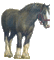 Paard - Animovaný GIF zadarmo animovaný GIF