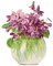 violets - δωρεάν png κινούμενο GIF