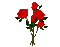 Red.Roses.Bouquet.gif.flowers.Victoriabea - GIF animado grátis Gif Animado