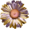 flowers anastasia - png gratis GIF animasi