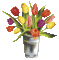 Flowers bp - Free animated GIF Animated GIF