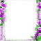 soave frame vintage spring purple green - PNG gratuit GIF animé