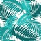 Tropic Background - zadarmo png animovaný GIF