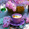 Y.A.M._Spring Images for comments - zadarmo png animovaný GIF