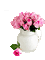 rosas para ti - Free animated GIF Animated GIF