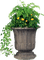 Blumen in Vase - Free PNG Animated GIF