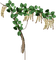 Dekor roślinny - zadarmo png animovaný GIF