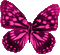butterfly papillon schmetterling - Darmowy animowany GIF animowany gif