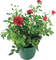 Kaz_Creations Flowers Plant Deco Vase