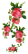 roses vintage - Δωρεάν κινούμενο GIF κινούμενο GIF