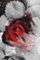 frozen rose - Δωρεάν κινούμενο GIF κινούμενο GIF