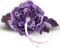 flower purple by nataliplus - PNG gratuit GIF animé