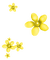 Pearl.Flowers.Yellow