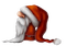 Santa - безплатен png анимиран GIF