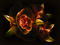 ani-bg-flowers-blomma - Darmowy animowany GIF animowany gif