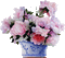 flowers peony, peonies bp - Free animated GIF Animated GIF