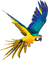 loly33 perroquet - δωρεάν png κινούμενο GIF