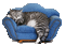 cat couch - GIF animado grátis Gif Animado