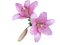 fleur - png gratis GIF animasi