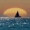 background ocean sunset - GIF animé gratuit