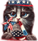 Cat.Patriotic.4th Of July - By KittyKatLuv65 - png gratuito GIF animata