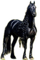 Rena schwarz Pferd Horse - бесплатно png анимированный гифка