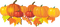 pumpkin Bb2 - Free PNG Animated GIF