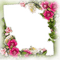 frame cadre flowers - zdarma png animovaný GIF
