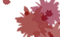 Blood Splash - png gratuito GIF animata