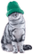 chat idca - kostenlos png Animiertes GIF