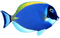 Kaz_Creations Fish - ilmainen png animoitu GIF