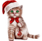 Chat avec une boule de Noël