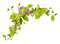 minou--leaves-deco - Free PNG Animated GIF