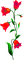 Flowers.Red - PNG gratuit GIF animé