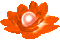Animated.Flower.Pearl.Orange - By KittyKatLuv65
