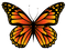 Kaz_Creations Butterfly - бесплатно png анимированный гифка