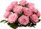 patymirabelle fleurs rose