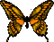 Papillon ** - GIF animado gratis GIF animado