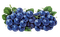 grapes Bb2 - безплатен png анимиран GIF