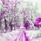kikkapink background tree lights snow winter - Ücretsiz animasyonlu GIF animasyonlu GIF