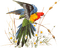 bird - ilmainen png animoitu GIF
