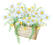 daisies Bb2 - png gratuito GIF animata