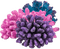 Coral-RM - kostenlos png Animiertes GIF